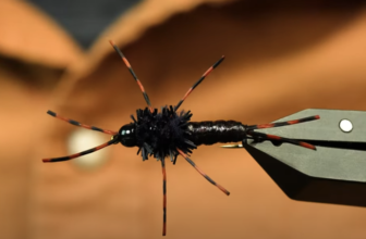 Tying Tuesday: Stoneflies, Eggs, and Pheasant Tails